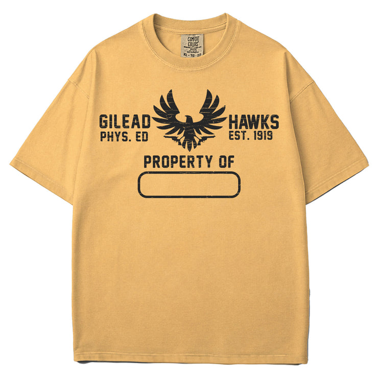 GIlead P.E. Garment Dyed Tee