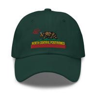 Kalifornia Shardik Dad hat