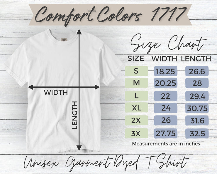 Long Days And Pleasant Nights garment-dyed heavyweight t-shirt