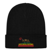 Kalifornia Shardik Ribbed knit beanie