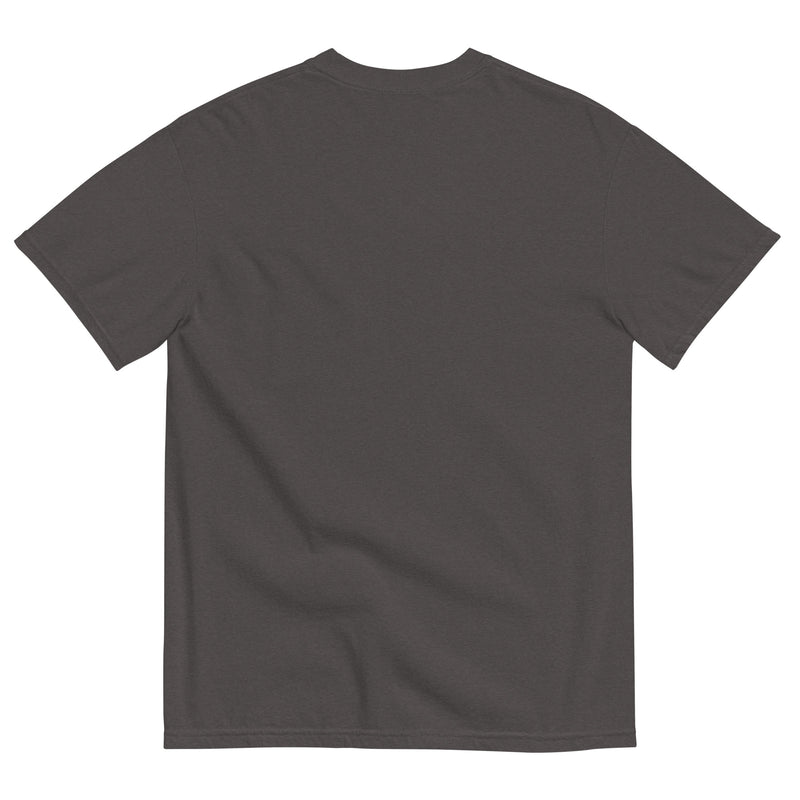 files/unisex-garment-dyed-heavyweight-t-shirt-graphite-back-67f5c4e62a32f.jpg