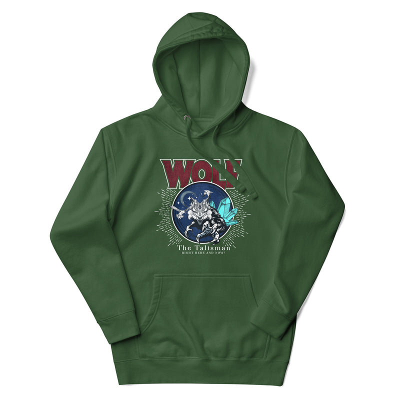 files/unisex-premium-hoodie-forest-green-front-64e62a01a480a.jpg
